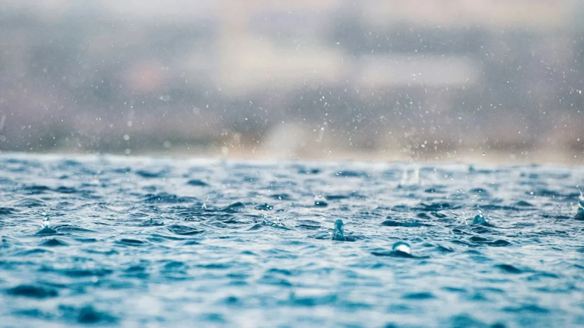 Environment Canada issues special weather statement for Halifax rain ...