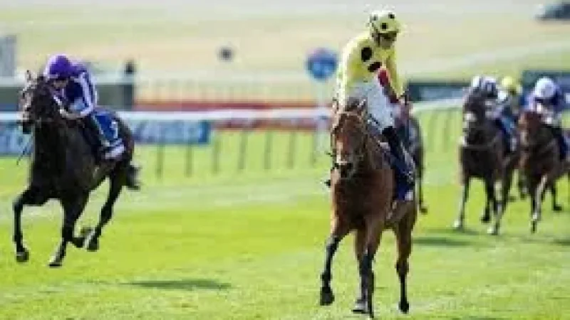 Loughnane Wins 2,000 Guineas on Bow Echo at Newmarket