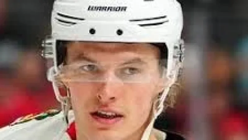 Tyler Heineman assigned as Lukas Reichel heads to AHL Providence
