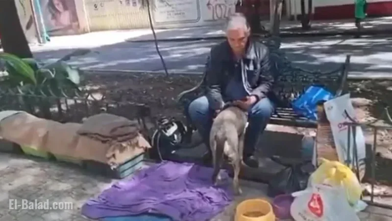 Aid Sought for Televisa Actor Found Homeless with Cats