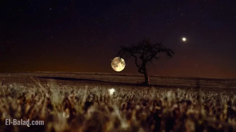 Astronomers Unveil Earth’s Two Newly Discovered Moons