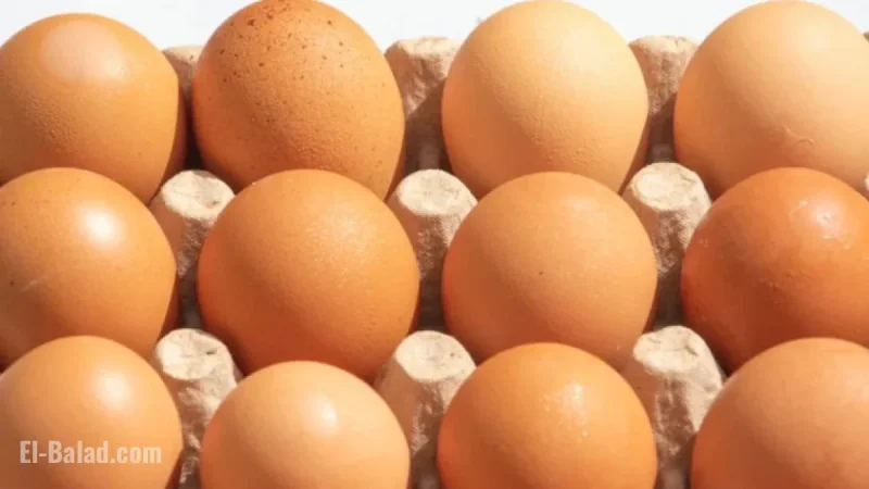 Black Sheep Egg Company Recalls Eggs Over Salmonella Risk