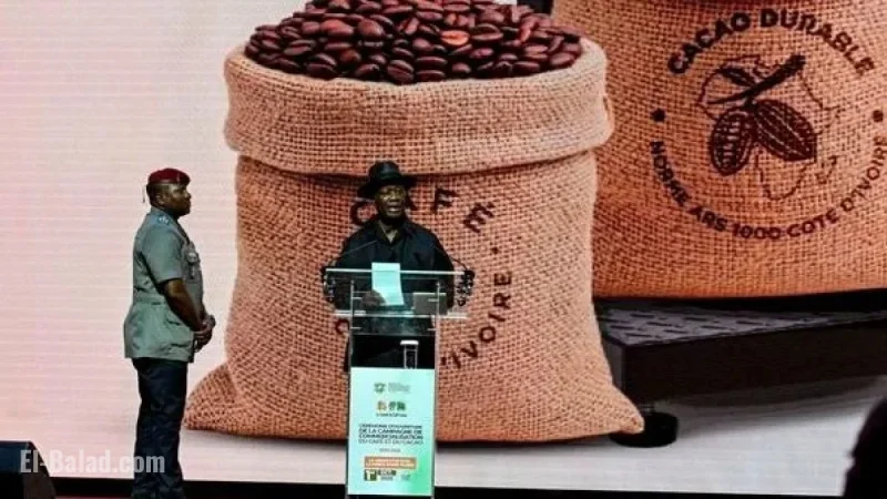Côte d’Ivoire: Cocoa Boosts Ouattara’s Electoral Strategy