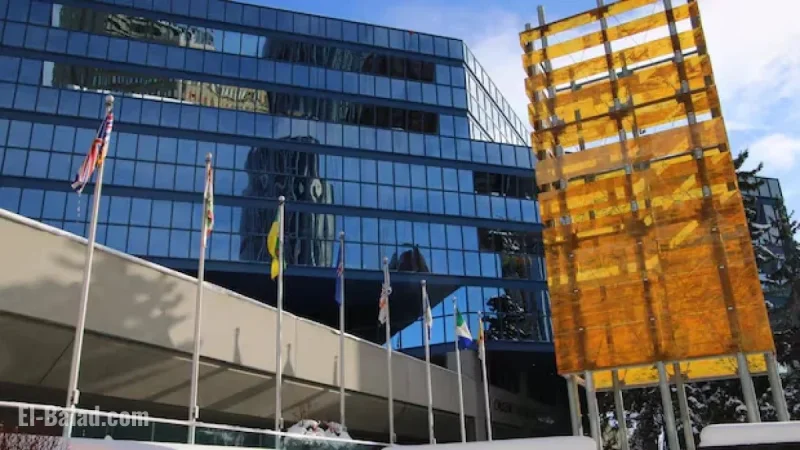 Calgary Mayoral Candidates Reveal Motivations for Entering the Race