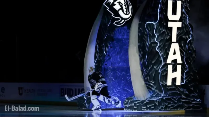 Choosing Your First NHL Team: A Guide for New Fans