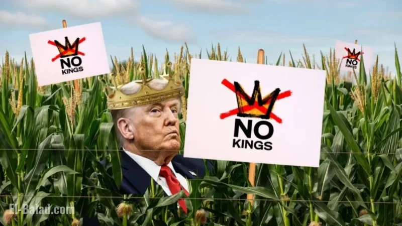 Effectiveness of Anti-Trump Protests in Rural Areas: An Analysis