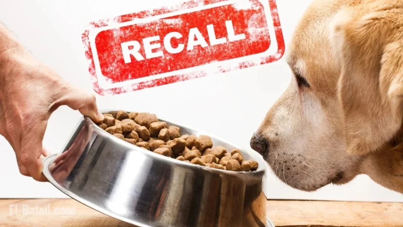 FDA pet food Salmonella recall: what’s new this week, what’s affected, and how to protect your household