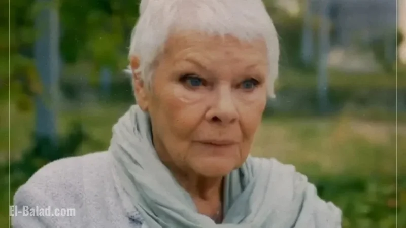Judi Dench’s Favorite Film to Make, But She Didn’t Fully Grasp