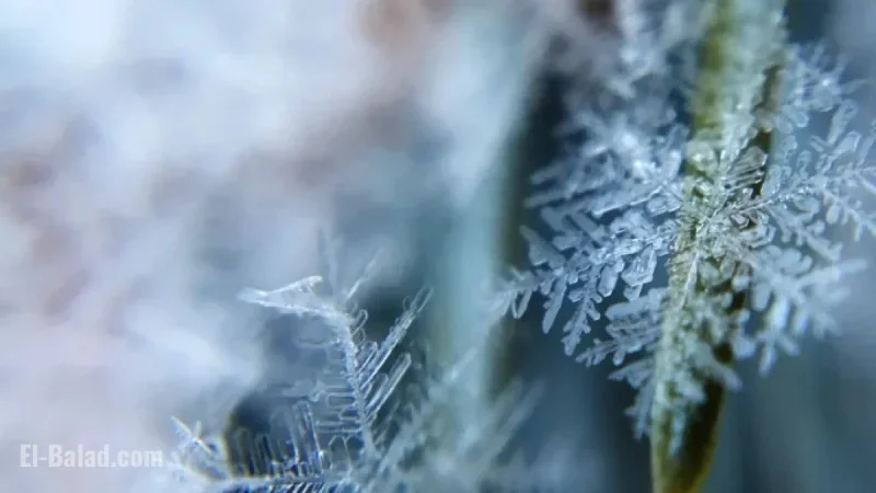Met Office Reviews ‘Brutal’ Cold Snap and ‘Barrage of Snow’ Claims