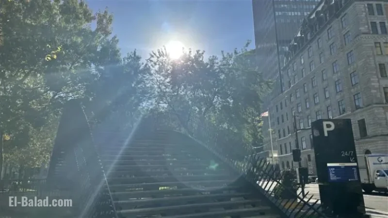 Montreal Enjoys Beautiful Autumn Weather This Weekend Before Rain Arrives