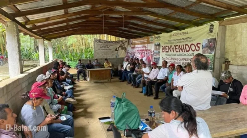 Promising Times Ahead for Guerrero Coffee Growers
