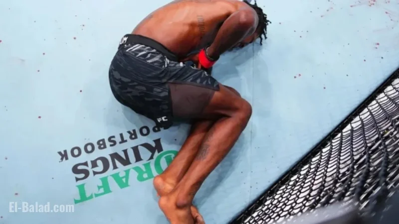 Pros Criticize Referee Mistake in Malott vs. Holland UFC Vancouver Fight