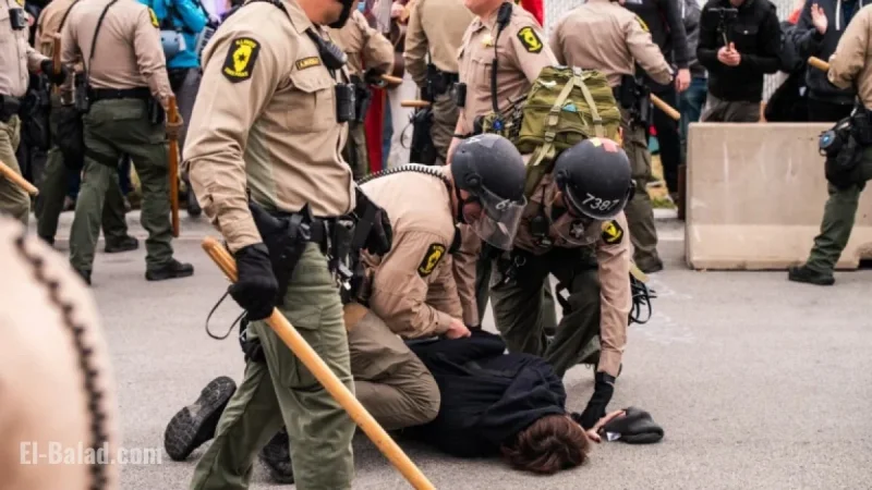 Protesters Claim State Police Led and Attacked Them in Broadview Streets