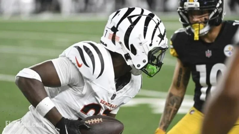Steelers’ Defense Criticized, Offense Shares Blame in Bengals Loss