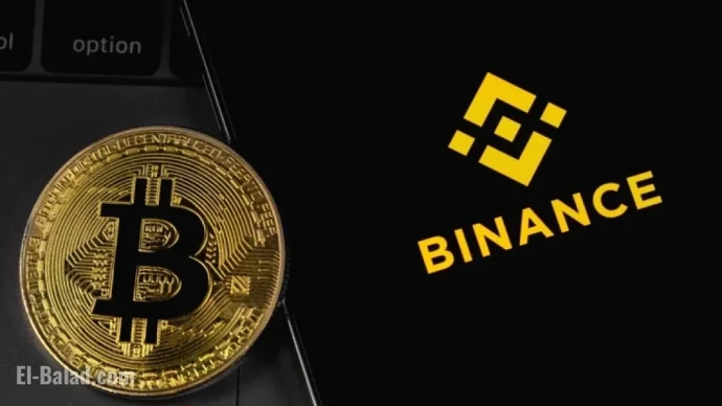 Top Cryptocurrencies to Buy Now: Binance Increases BTC and ETH Holdings
