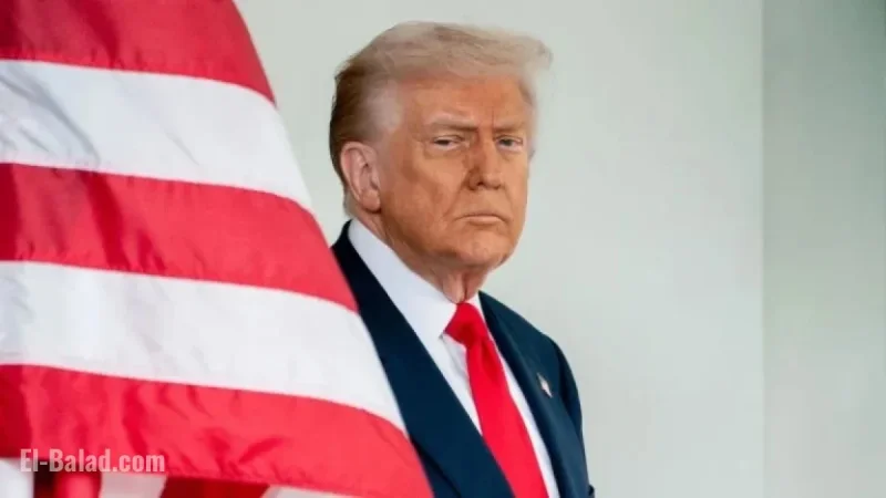 Trump’s Reaction to ‘No Kings’ Marches Validates Protesters’ Message