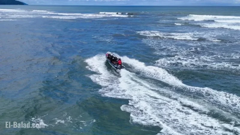 U.S. Detains 2 Survivors Following Strike on Venezuelan Cartel Boat