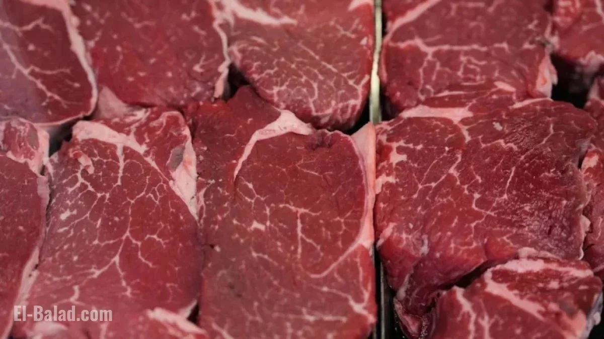 US Ranchers Challenge Trump’s Argentine Beef Plan, Experts Question Price Impact