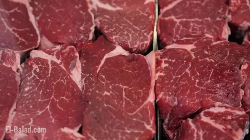 US Ranchers Challenge Trump’s Argentine Beef Plan, Experts Question Price Impact