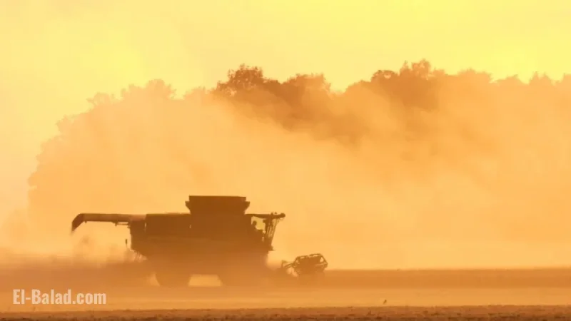 USDA Reopens County Offices to Aid Farmers Amid Government Shutdown