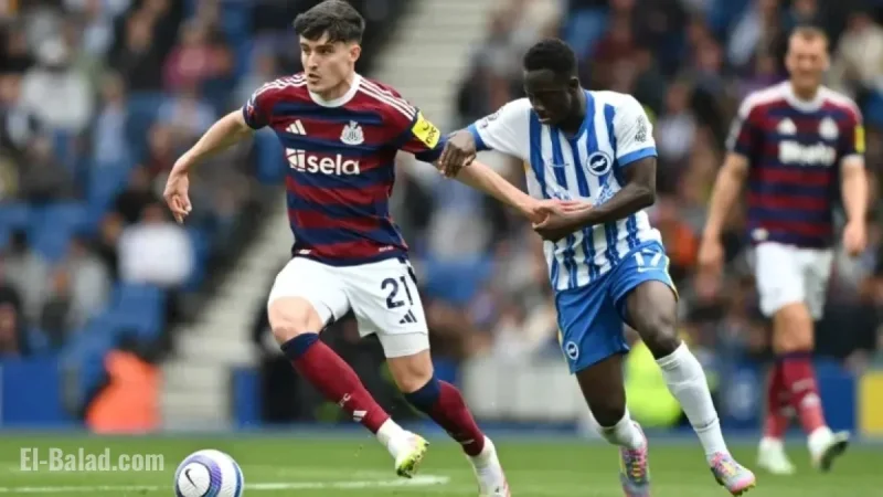 Watch Brighton vs Newcastle: Premier League Live Stream and TV Channel