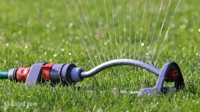 Water Restrictions Lifted for Mission and Abbotsford Residents