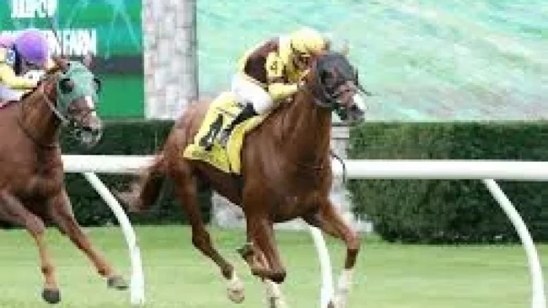 59-Degree Weather Derby Could Chill Churchill Downs