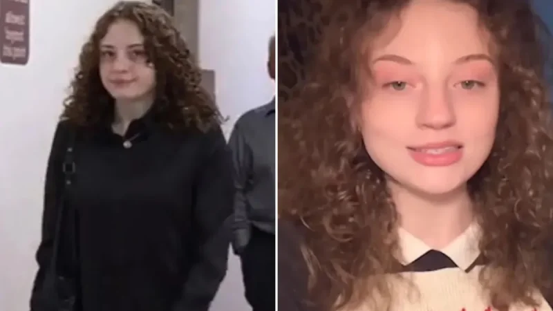 Olivia R. Henderson Pleads Not Guilty to Two Felonies After Tiktok