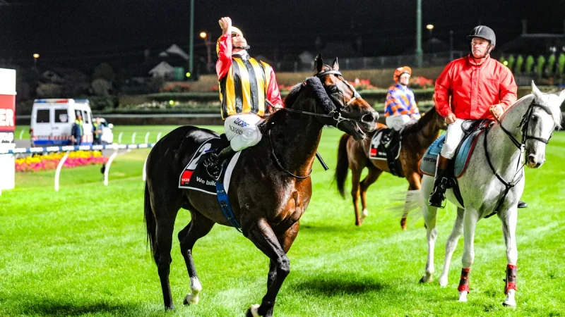 Spirit Of Boom Dies At 18 After Nine-Win Career
