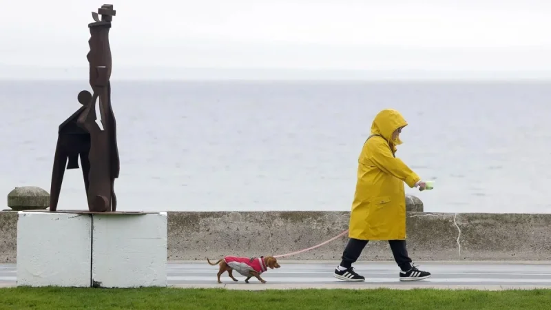 Apotex Wins Health Canada Approval for Ozempic Equivalent — Weather Hamilton