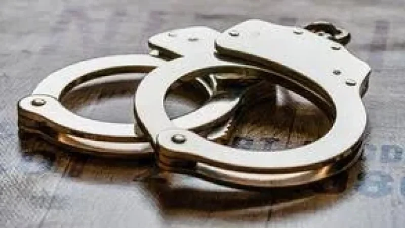 Benita D. Randle Pleads Guilty in St Louis Usps Employee Fraud Case