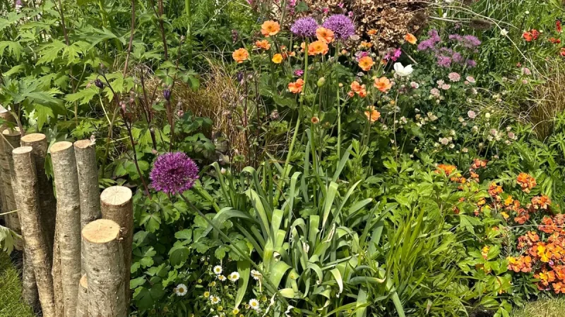 Ian McBain wins best in show at Rhs Malvern Spring Festival