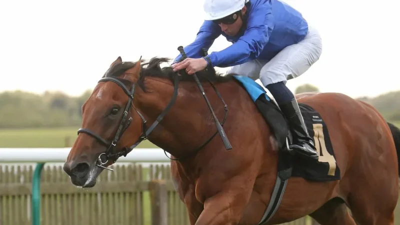 Maho Bay and Maltese Cross Test Derby Claims at Lingfield Races