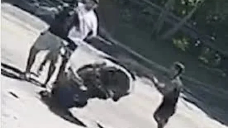 Pitbull Brothers Clash With Asim Zaidi Over Karate Combat 61 Brawls