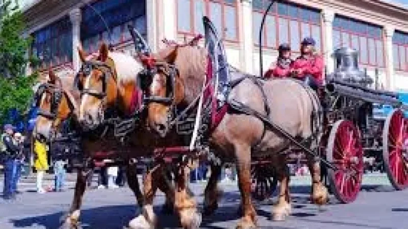 Victoria Day Canada: May Long Returns Cottage Country to Life