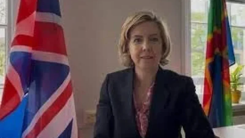 Andrea Jenkyns Walks Out After Henry Nowak Meeting Row