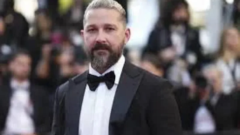 Shia Labeouf Sentencing Ends With 2 Years of Probation