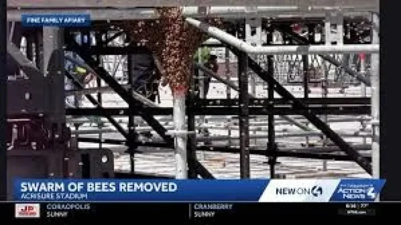Morgan Wallen Pittsburgh show loses 4 to 5 pounds of bees