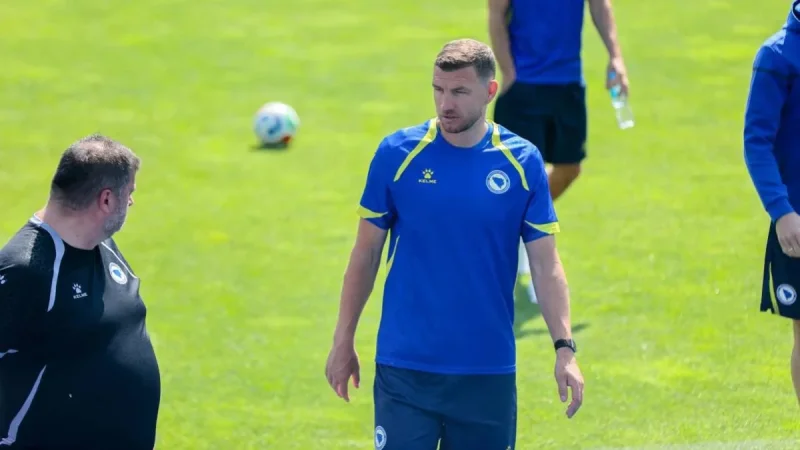 Barbarez Restará a Džeko en Panamá - Bosnia Y Herzegovina