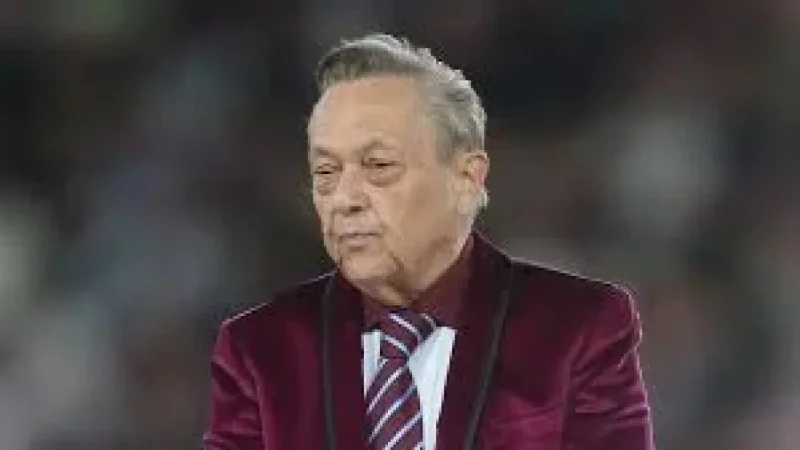 David Sullivan blamed for West Ham's slide to relegation