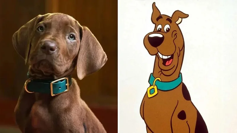 Scooby Doo Origins draws backlash over live-action Great Dane choice