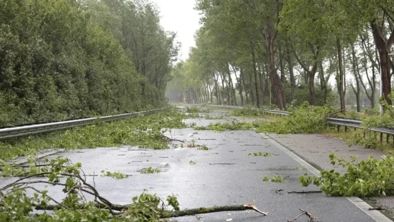 Naperville Weather: LaCloche Says 450 Still Without Power After 68 mph Gusts