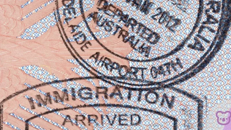 One Nation Bars Appeals For Dropout International Students In Australia