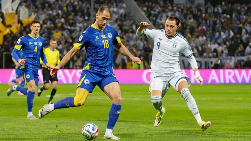 Nikola Katic Says Bosnia and Herzegovina Are At World Cup on Merit
