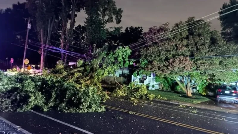 Littmann Says Annapolis Storm Left Nearly 800 Without Power