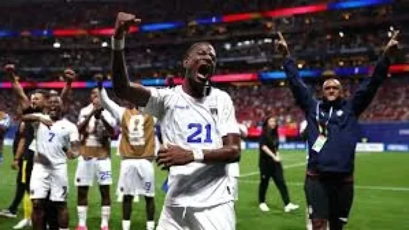 Bear Poops Live, Then Picks New Zealand — Spain Cape Verde Prediction