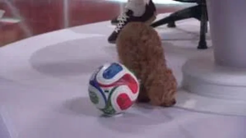 Spain Hold Cape Verde Goalless at 40 Minutes in World Cup 2026 — Cape Verde National Football Team Games