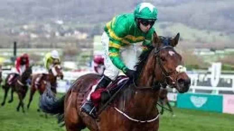 Tom Segal backs Joseph O'brien to match Aidan O'Brien