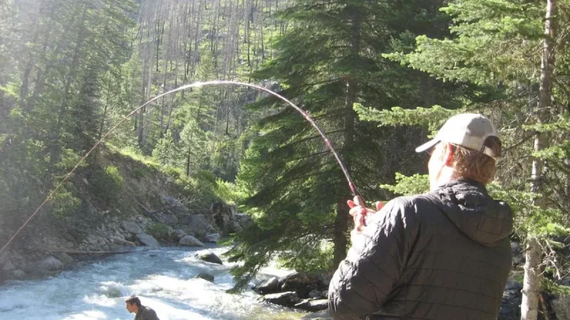 Idaho Fish And Game Sets June 18 South Fork Opening With 420 Fish Target