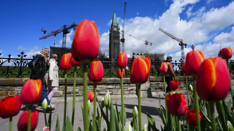 Statistics Canada Reports Canada's Population Fell 55,000 in Q1 2026